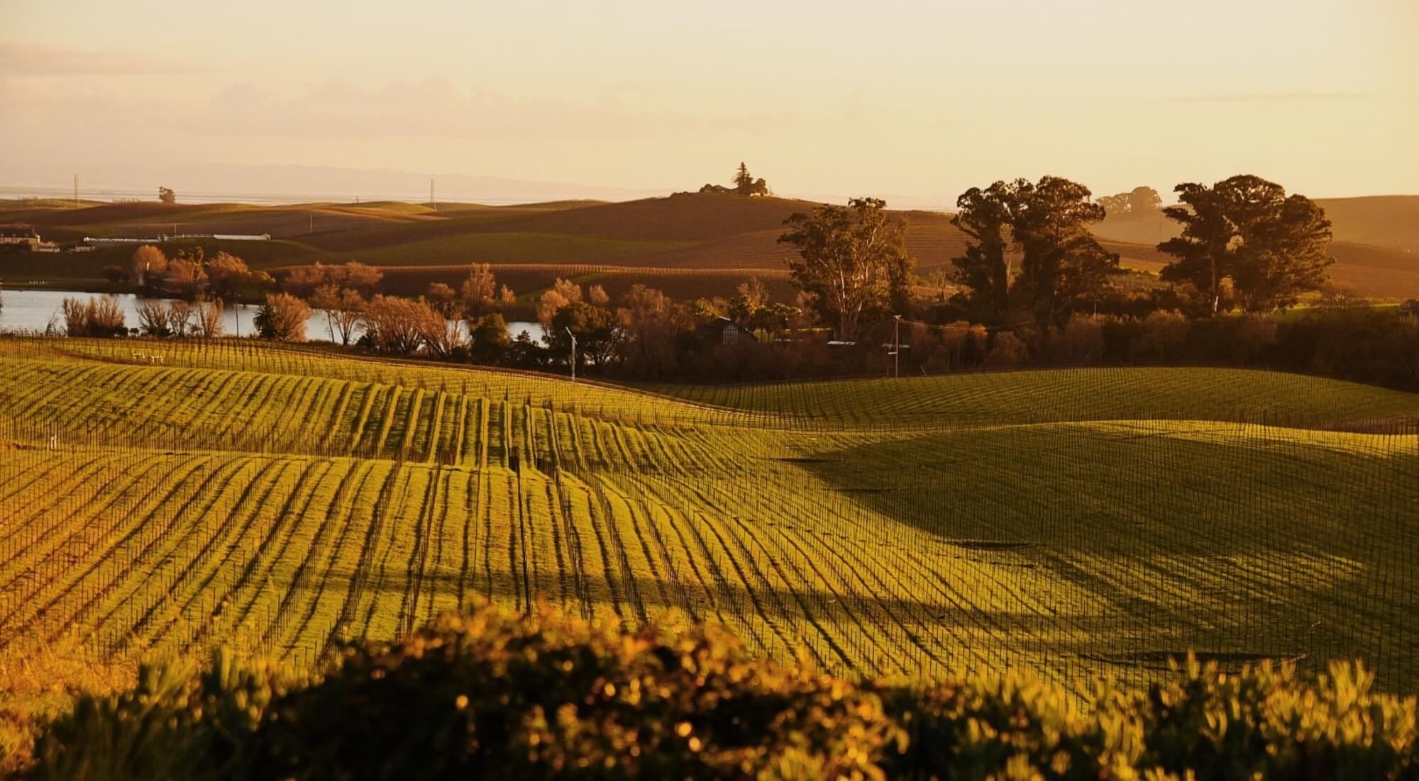 Your Private Jet Guide to Summer Events: Jet-Set to your favorite Festivals