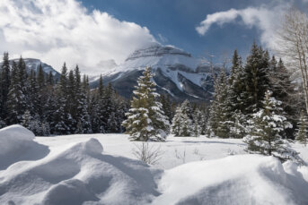 Winter Above the Ordinary: Luxury Private Jet Getaways to Canada’s National Parks