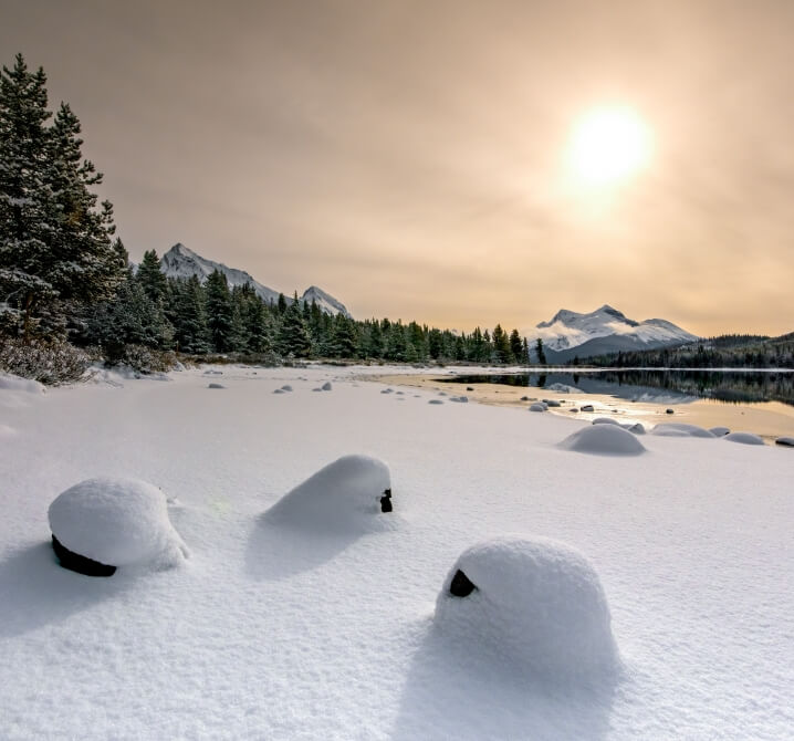 PCJ blog Jasper National Park